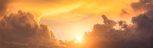 The Power of Prosperity Treatment: Transforming Your Mind to Attract Abundance